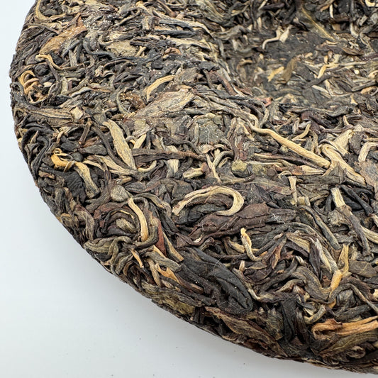 Close-up of a round cake of compressed tea leaves on a white background