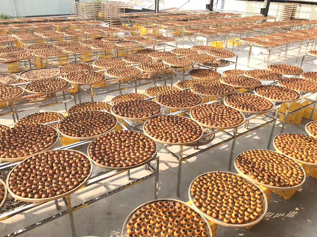 Large number of round trays filled with small orange fruit on metal stands.