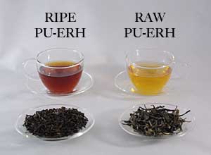 Two Types of Pu-erh Tea