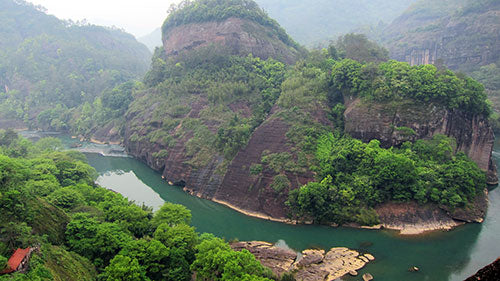 Wuyi Yan Cha - Rock Oolong Tea