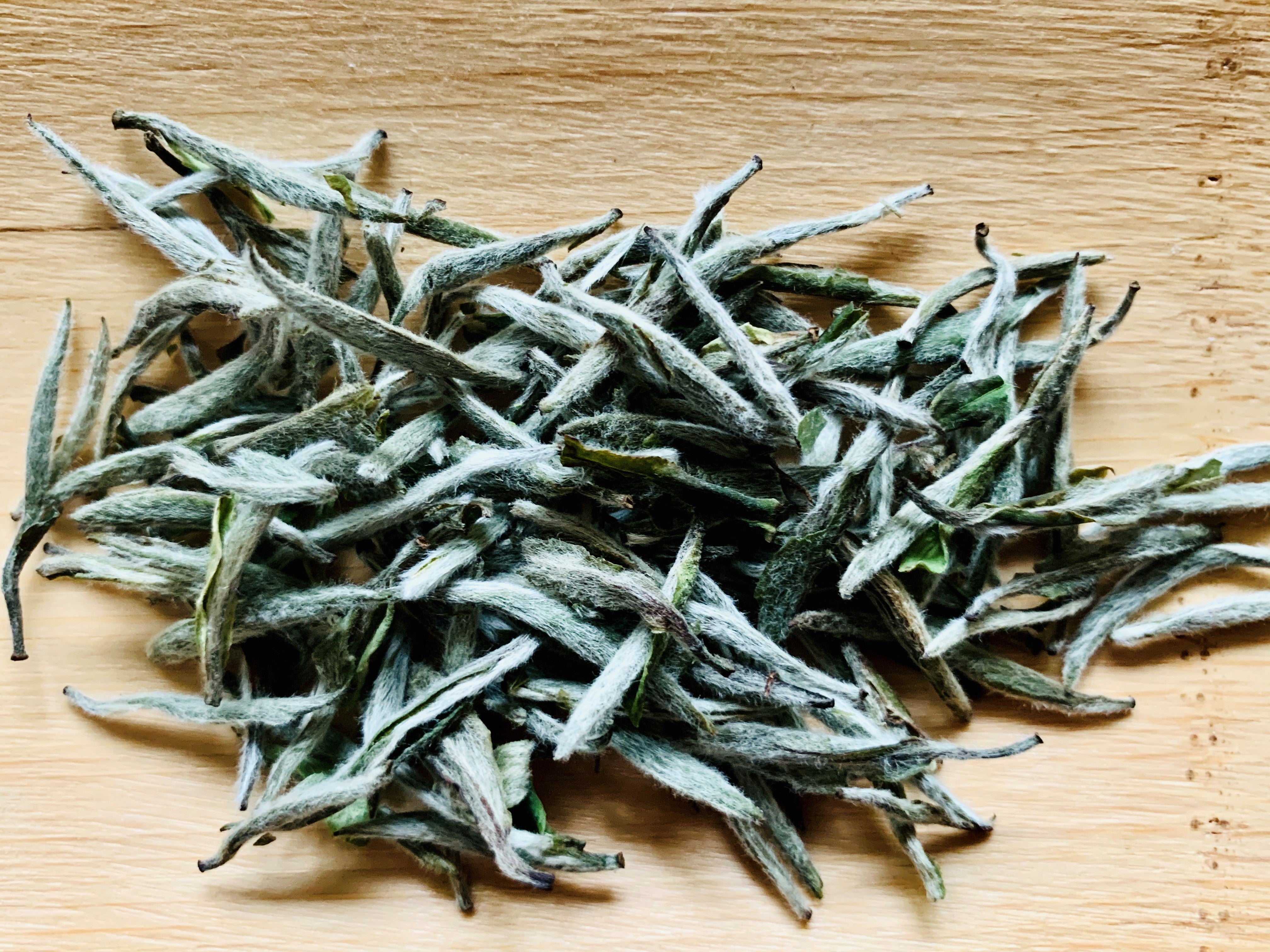 What is White Tea? – Bana Tea Company