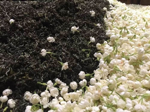 The Jasmine Tea Like You Have Never Had