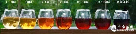 Criteria for Choosing Pu-erh Tea