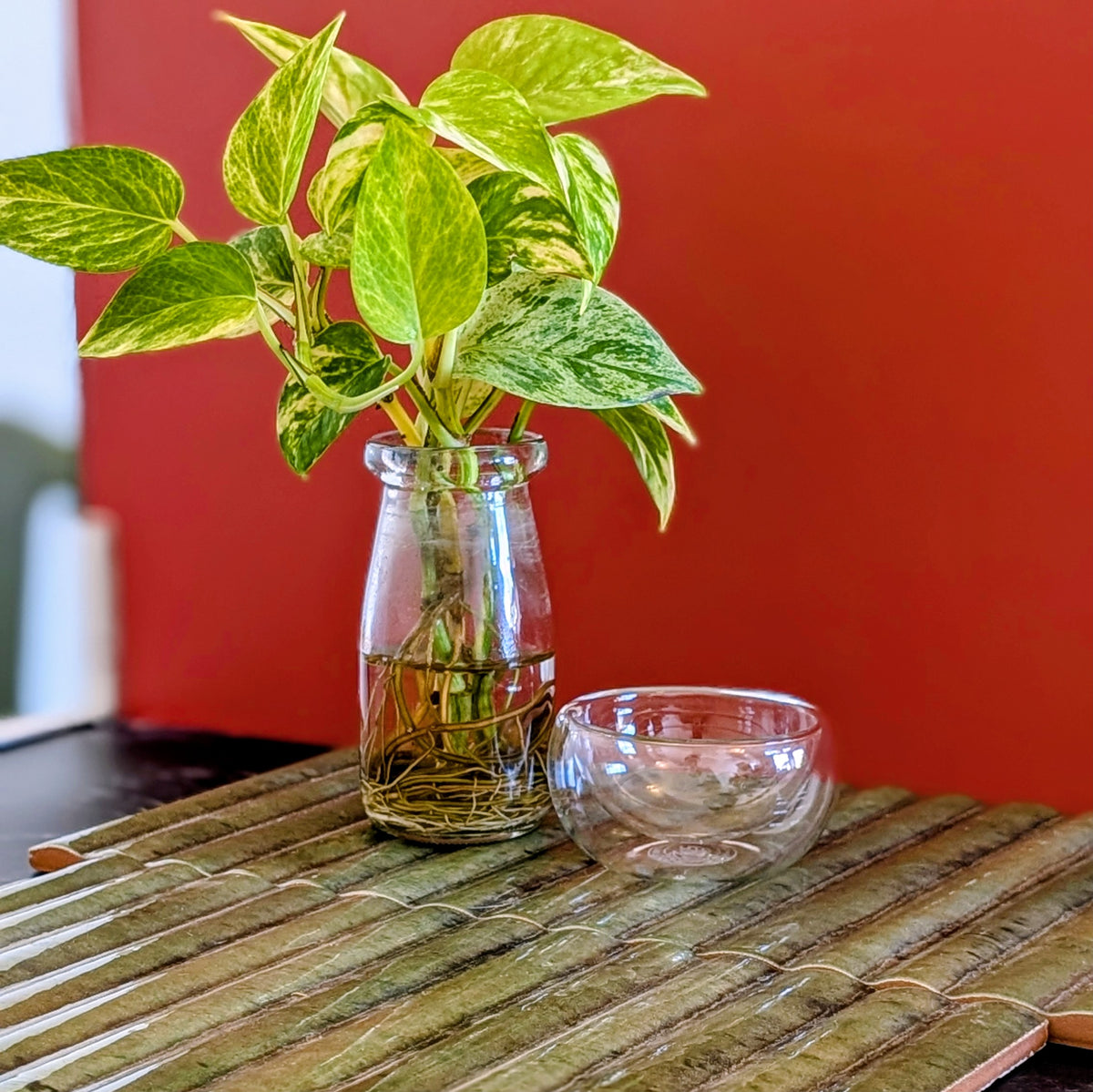 Double walled small glass cup on a green mat against a terra cotta background.