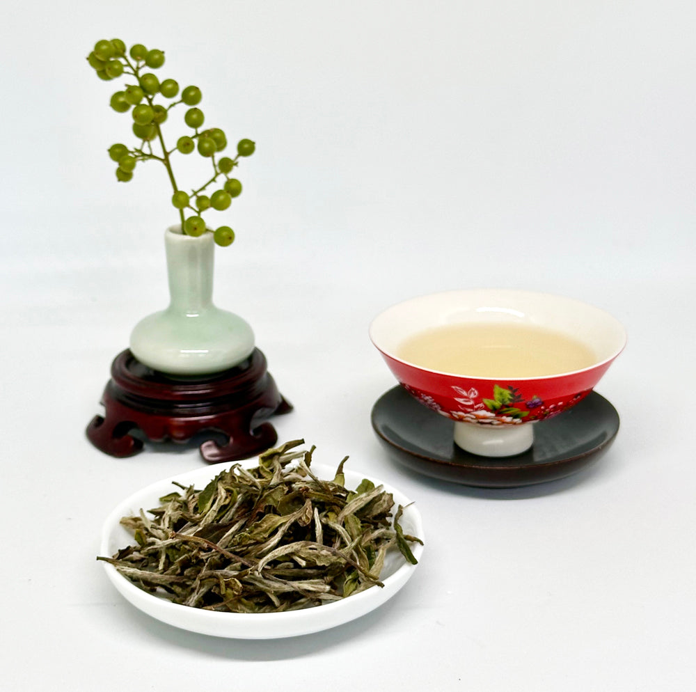 Tea leaves, a teacup with tea, and a vase with green branches on a white background