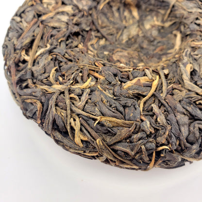 Close-up of a compressed tea cake with intricate leaf patterns on a white background