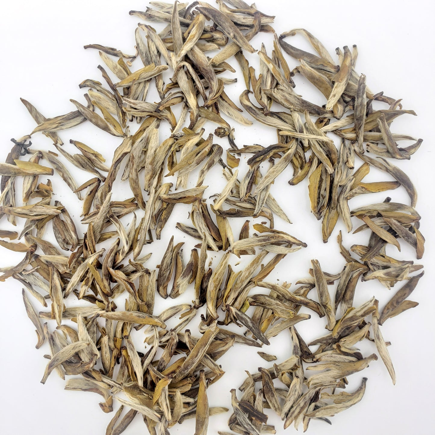 Dry tea leaves on a white background