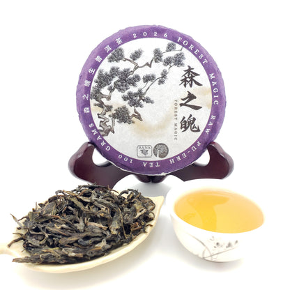 A round tea disc package on a small wooden stand, with loose dark tea leaves in a small dish and a white cup of pale golden tea in front, all on a white background. The package label reads 2026 Forest Magic Pu Erh Tea.
