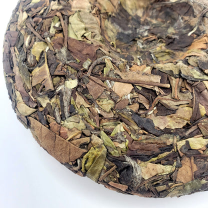 Close-up of a round tea cake with various tea leaves on a white background