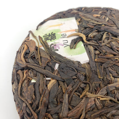 Round cake of compressed tea leaves with a label on a white background