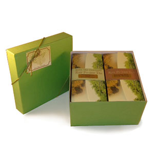 Green gift box with a ribbon and a smaller box inside on a white background